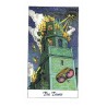 TAROT Cosmic (Set - Libro