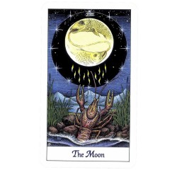 TAROT Cosmic (Set - Libro