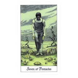 TAROT Cosmic (Set - Libro