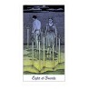 TAROT Cosmic (Set - Libro