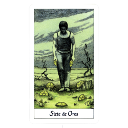TAROT Cosmic (Set - Libro