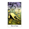 TAROT Cosmic (Set - Libro