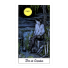 TAROT Cosmic (Set - Libro