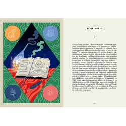 Libro Brujas Novatas y Aprendices de magos -Elisa Macellari