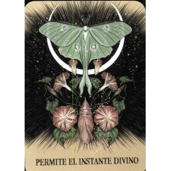 Oráculo Predestinados El Oráculo Del Amor (2025) (ES) -