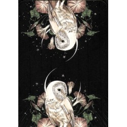 Oráculo Predestinados El Oráculo Del Amor (2025) (ES) -