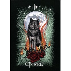 Oraculo El Oraculo Rúnico De Los Animales (ES) - Athene Noctua - Arkano Books