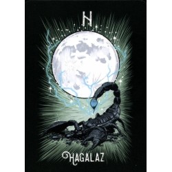 Oraculo El Oraculo Rúnico De Los Animales (ES) - Athene Noctua - Arkano Books