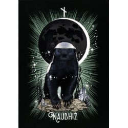 Oraculo El Oraculo Rúnico De Los Animales (ES) - Athene Noctua - Arkano Books