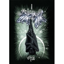 Oraculo El Oraculo Rúnico De Los Animales (ES) - Athene Noctua - Arkano Books