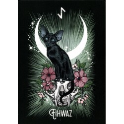 Oraculo El Oraculo Rúnico De Los Animales (ES) - Athene Noctua - Arkano Books