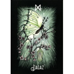 Oraculo El Oraculo Rúnico De Los Animales (ES) - Athene Noctua - Arkano Books