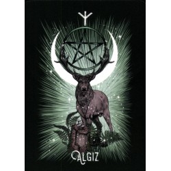 Oraculo El Oraculo Rúnico De Los Animales (ES) - Athene Noctua - Arkano Books