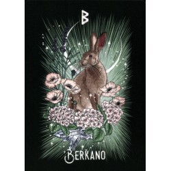 Oraculo El Oraculo Rúnico De Los Animales (ES) - Athene Noctua - Arkano Books