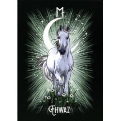 Oraculo El Oraculo Rúnico De Los Animales (ES) - Athene Noctua - Arkano Books