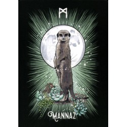 Oraculo El Oraculo Rúnico De Los Animales (ES) - Athene Noctua - Arkano Books