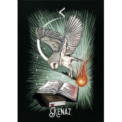 Oraculo El Oraculo Rúnico De Los Animales (ES) - Athene Noctua - Arkano Books