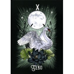 Oraculo El Oraculo Rúnico De Los Animales (ES) - Athene Noctua - Arkano Books