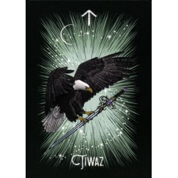 Oraculo El Oraculo Rúnico De Los Animales (ES) - Athene Noctua - Arkano Books