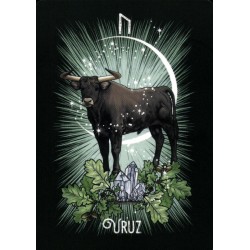 Oraculo El Oraculo Rúnico De Los Animales (ES) - Athene Noctua - Arkano Books