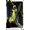 Tarot Set Voodoo Tarot Sp