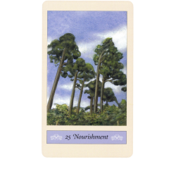 Tarot Wee Folk (Messages From the...) (33 Cartas + Libro)