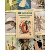 Oraculo Herbana Oraculo de la Bruja (ES) (2025) - Cecilia