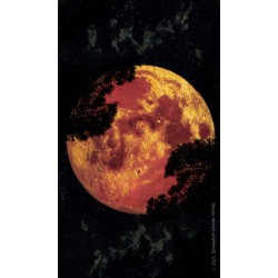 Tarot Amber Moon Tarot 2025 - Hepie Bartkowski - (EN) -