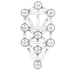 Tarot coleccion Builders of the Adytum (B.O.T.A.) (BOTA) Color your own (EN)