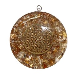 Colg Orgo Natu lFlor Citr