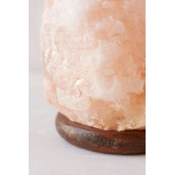 Lampara Sal (2 a 3 kg) 17