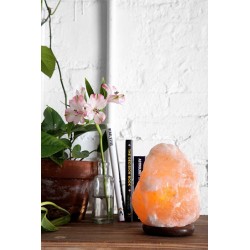 Lampara Sal (2 a 3 kg) 17