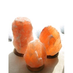 Lampara Sal (2 a 3 kg) 17