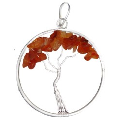 Vida Chakra 2 Carneola -