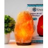 Lámpara de sal Natural 10 a 15 kg ·