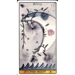 Tarot De La Luz (Aitor S