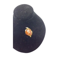 Colgante Carneolo Jaula D