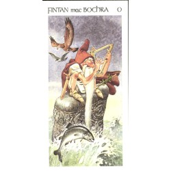 TAROT COLECCION Celti (Tarocchi dei...) (22 Cartas) (Italiano) (Antonio Lupatelli)