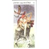 TAROT COLECCION Celti (Tarocchi dei...) (22 Cartas) (Italiano) (Antonio Lupatelli)