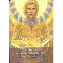 Oráculo de los 22 arcángeles (22 cartas + libro) (2026)