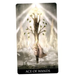 Tarot Heaven & Earth - Jack Sephiroth y Jaymi Elford (2020)