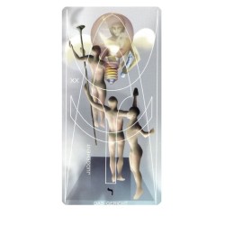 TAROT COLECCION Adrian (I