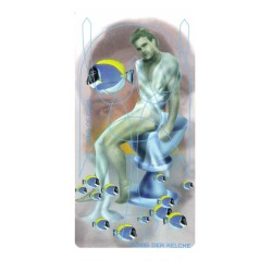 TAROT COLECCION Adrian (I