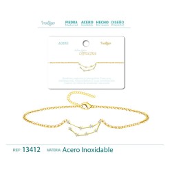 Pulsera Mapa Estelar Del Zodiaco Capricornio Acero Dorado