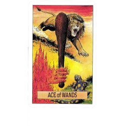 Tarot Coleccion Arcus Arcanum (EN) (AGM)