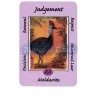 Tarot Coleccion Australian Animal - Ann Williams-Fitzgerald (EN)