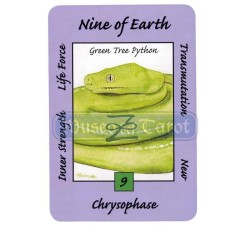 Tarot Coleccion Australian Animal - Ann Williams-Fitzgerald (EN)