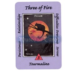 Tarot Coleccion Australian Animal - Ann Williams-Fitzgerald (EN)