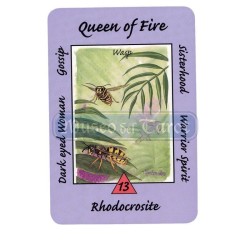 Tarot Coleccion Australian Animal - Ann Williams-Fitzgerald (EN)