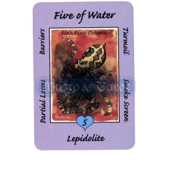 Tarot Coleccion Australian Animal - Ann Williams-Fitzgerald (EN)